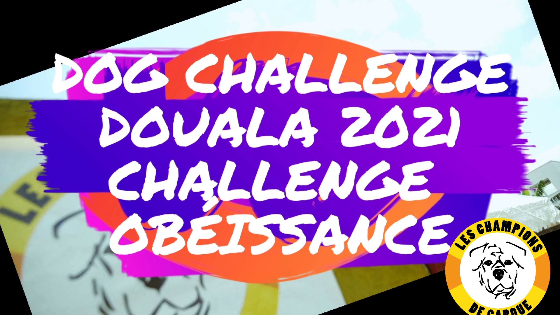 Challenge Obéissance